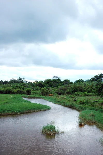 A view landscape of the river at afternoon with dark cloud — Stock Photo, Image