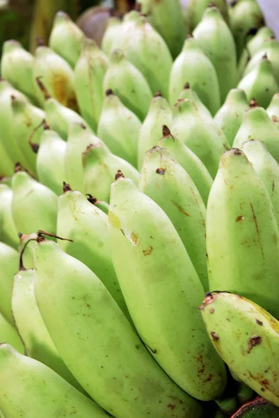 Groene bananen — Stockfoto