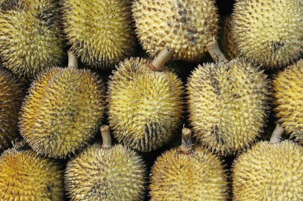 Elai, frutas tropicais como frutas durianas — Fotografia de Stock
