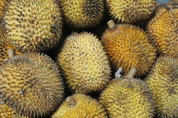 Elai, frutti tropicali come frutti duriani — Foto Stock