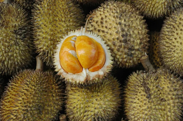 Elai, frutas tropicais como frutas durianas — Fotografia de Stock
