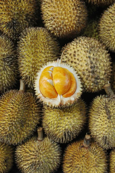 Elai, τροπικά φρούτα όπως durian φρούτα — Φωτογραφία Αρχείου
