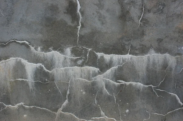 Cement wall — Stock Photo, Image