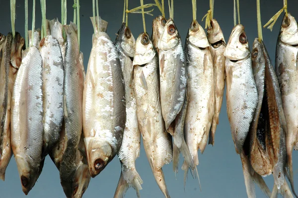 Milkfish is being hung in the drying process — Stock Photo, Image