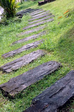 düzgün vücutlu foothpath beton bloklar arasında çim yaptı.
