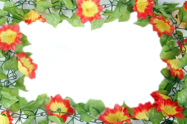 Beautiful flowers frame — Stock Photo, Image