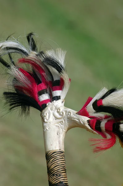 Borneo tribal weapon hilt — Stock Photo, Image