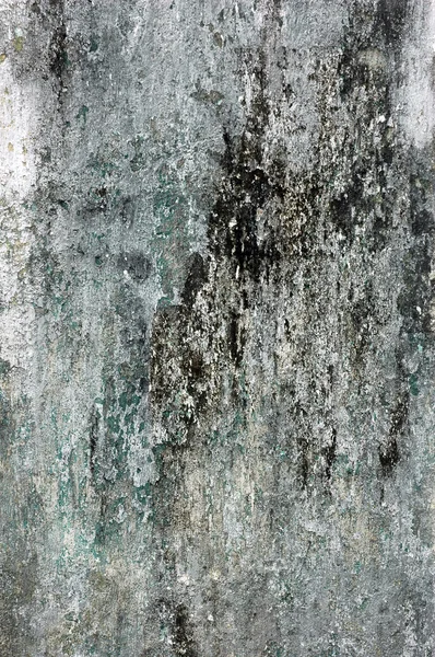 Old and mossy concrete wall background — Stock Photo, Image