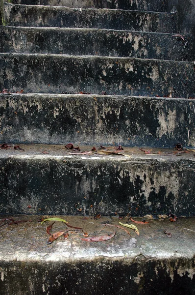 Escaleras de hormigón liso y musgoso —  Fotos de Stock