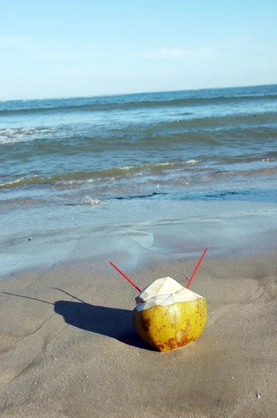 Jeune noix de coco avec une paille sur la plage — Photo