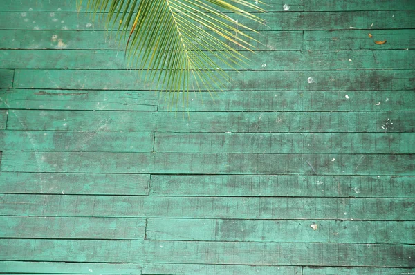 Viejos pisos de madera verde — Foto de Stock