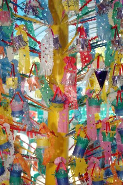 bir muz ağaç gövdesinde astı bambu bıçak ile haşlanmış yumurta