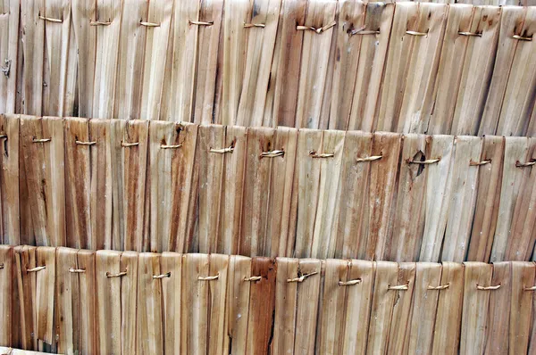 Texture et motif toit de feuilles de palmier — Photo
