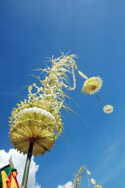 Hindistan cevizi hurma yaprakları ile geleneksel dekor