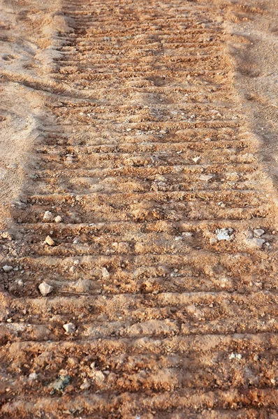 Sentiero trattore in argilla marrone — Foto Stock