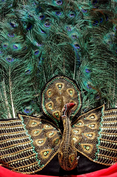 Peacock masker — Stockfoto