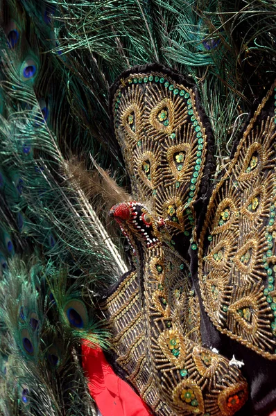 Peacock masker — Stockfoto