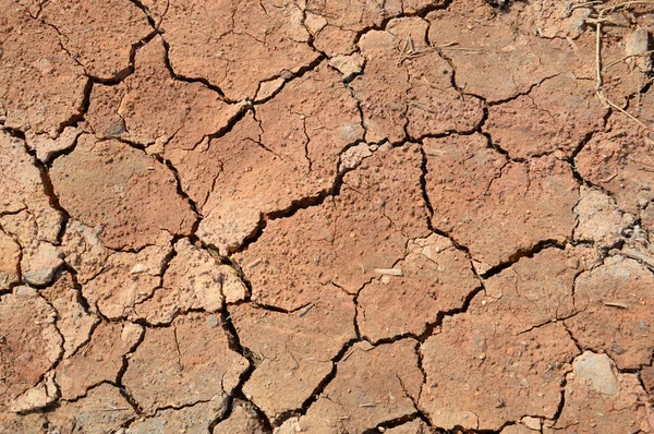 Dry soil cracks — Stock Photo, Image