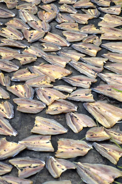 Muster von getrocknetem Fisch — Stockfoto