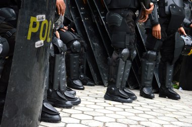 Polis kalkanı