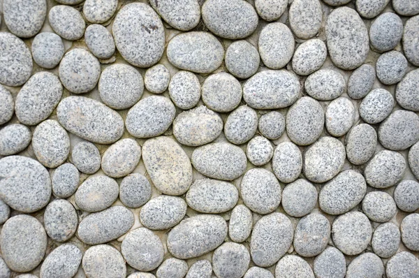 小卵石墙 — 图库照片