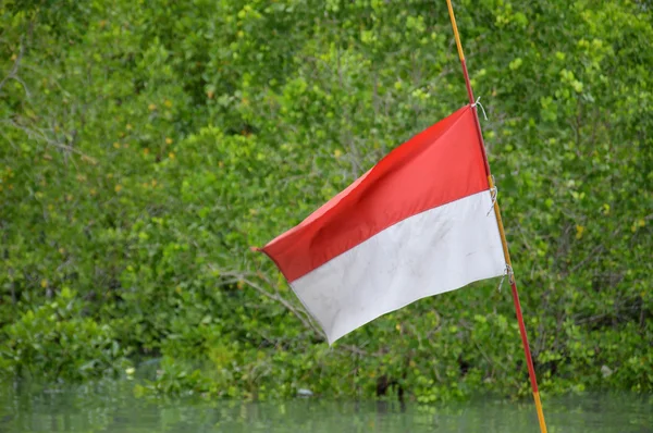 Indonesiens flagga — Stockfoto