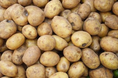 Patates.