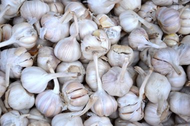 sarımsak