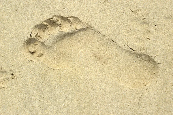 Footprint — Stock Photo, Image