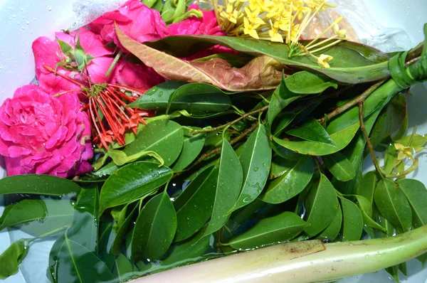 Pétalas de flores em água com colher dourada — Fotografia de Stock