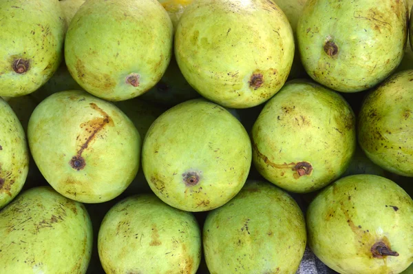 Groene mango — Stockfoto