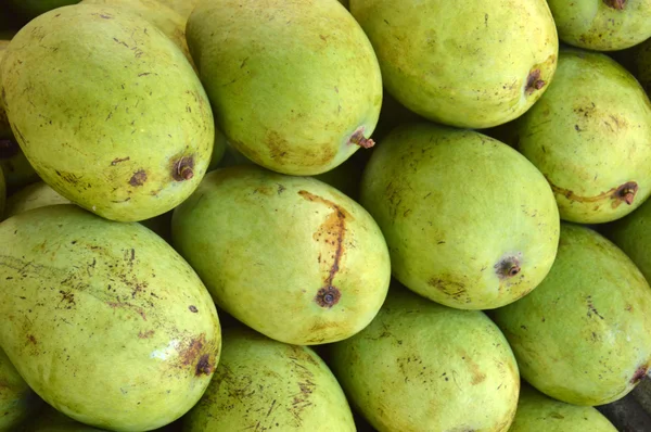 Yeşil mango — Stok fotoğraf