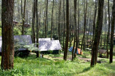 lojman ve ormanda kamp