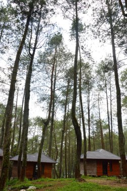 ormanda kısa süreli kirada oturmak