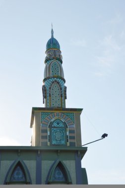Cami