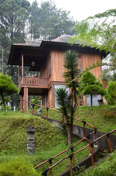 Alloggio nel bosco — Foto Stock