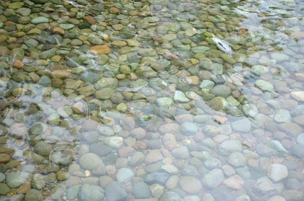 Aguas termales — Foto de Stock