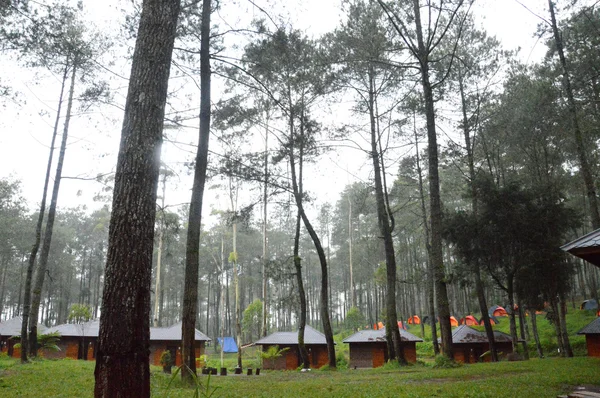 Lodge, és tábor az erdőben — Stock Fotó