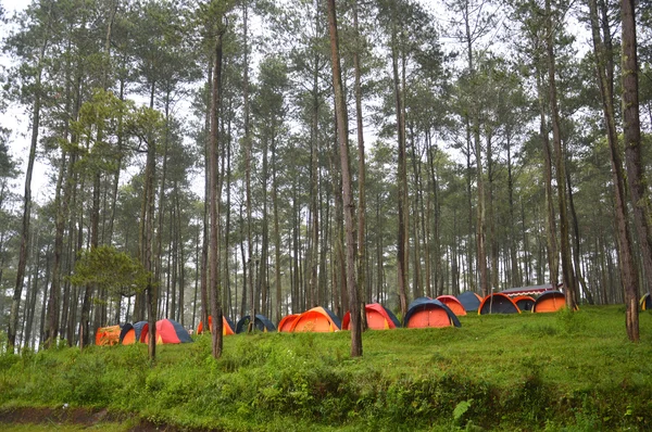 Acampamento na floresta — Fotografia de Stock