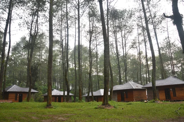 Alojamento na floresta — Fotografia de Stock