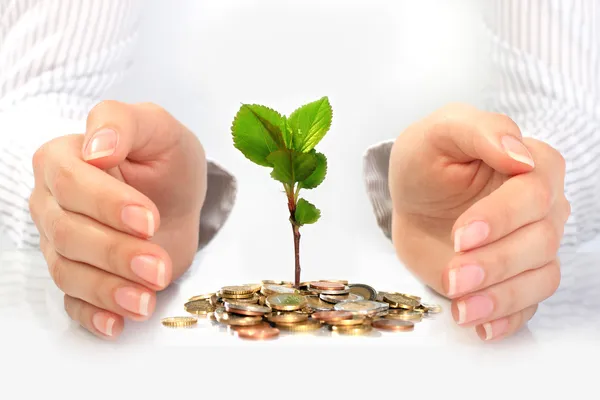 yeni bir hayat. iş kavramı.