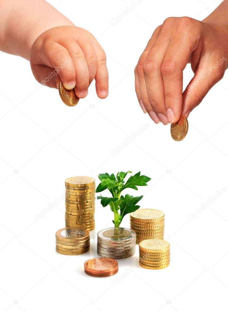 Hands with coins and plant.