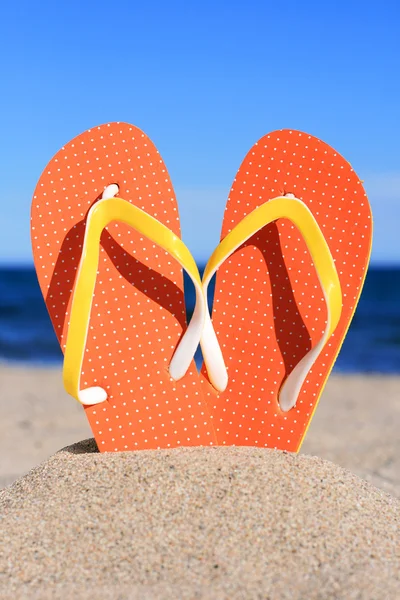 Flipflops. — Stockfoto