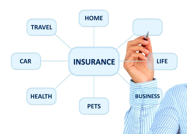 Insurance plan. — Stockfoto