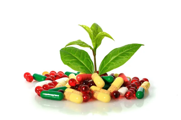 Píldoras y plantas . —  Fotos de Stock