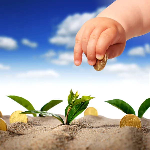 Plants and coins. — Stock Photo, Image