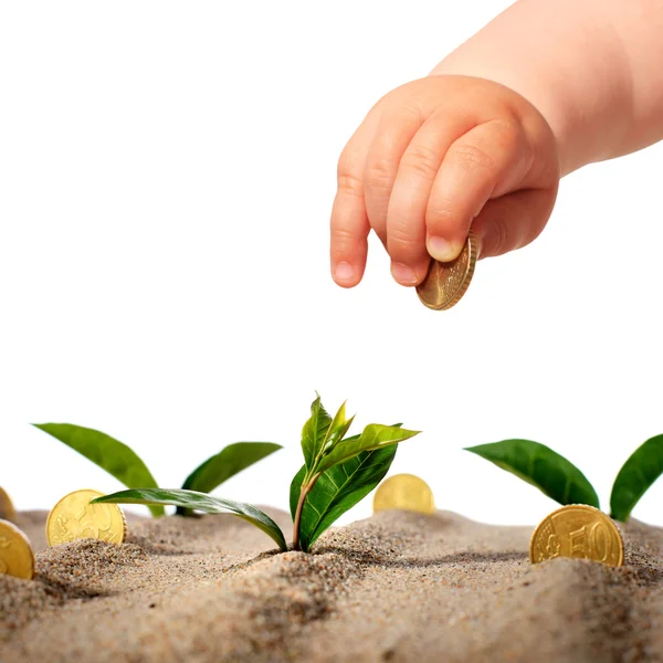 Plants and coins. — Stock Photo, Image