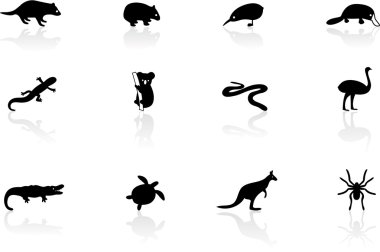 Australian animal icons stock vector