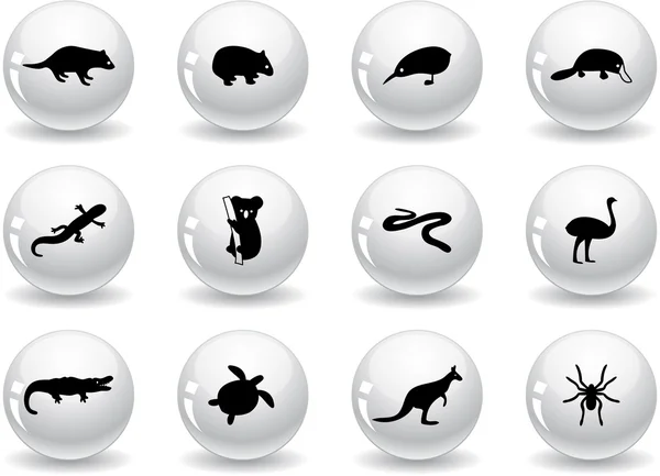 Boutons Web, icônes animales australiennes — Image vectorielle