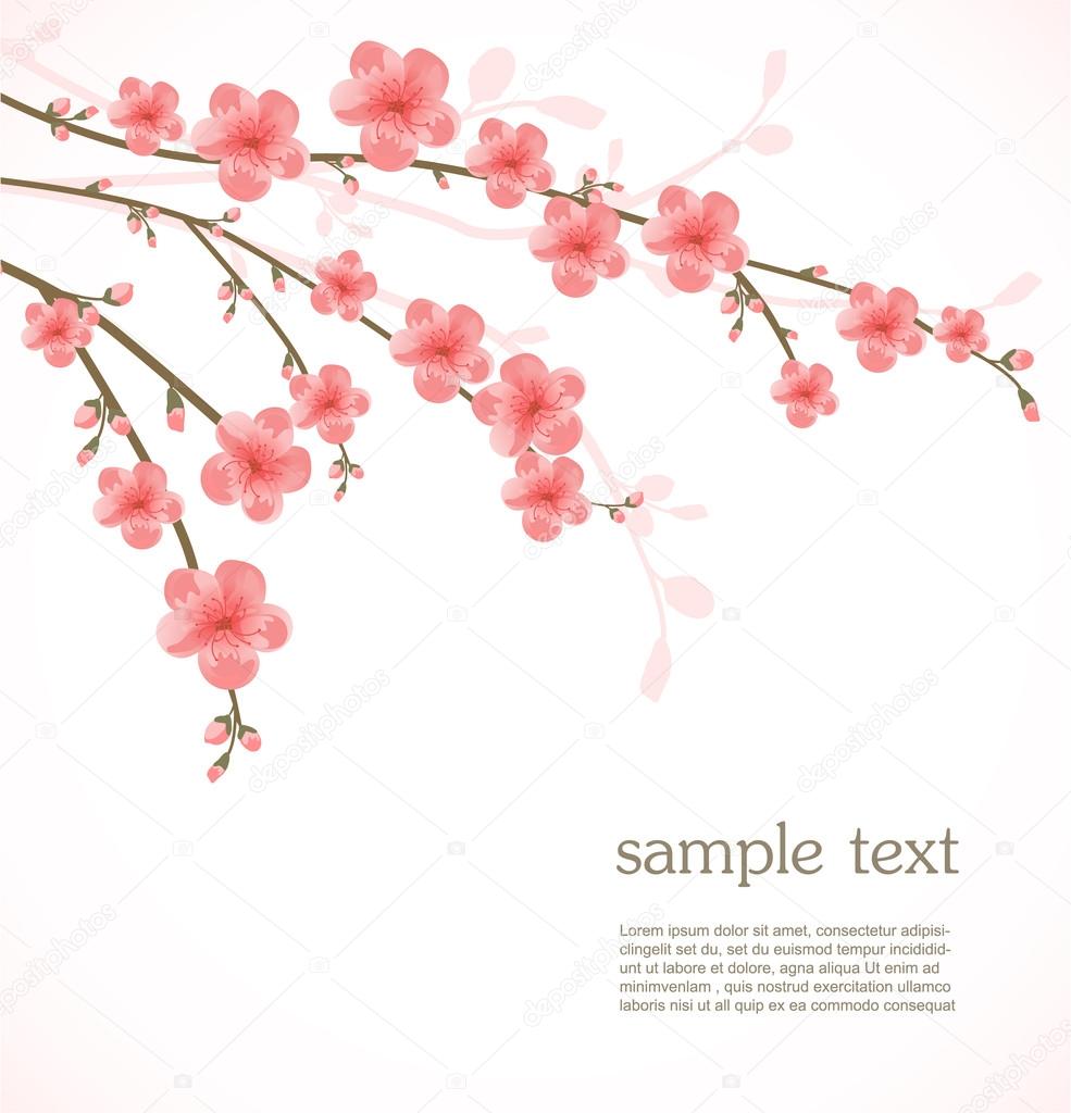 Cherry blossom card